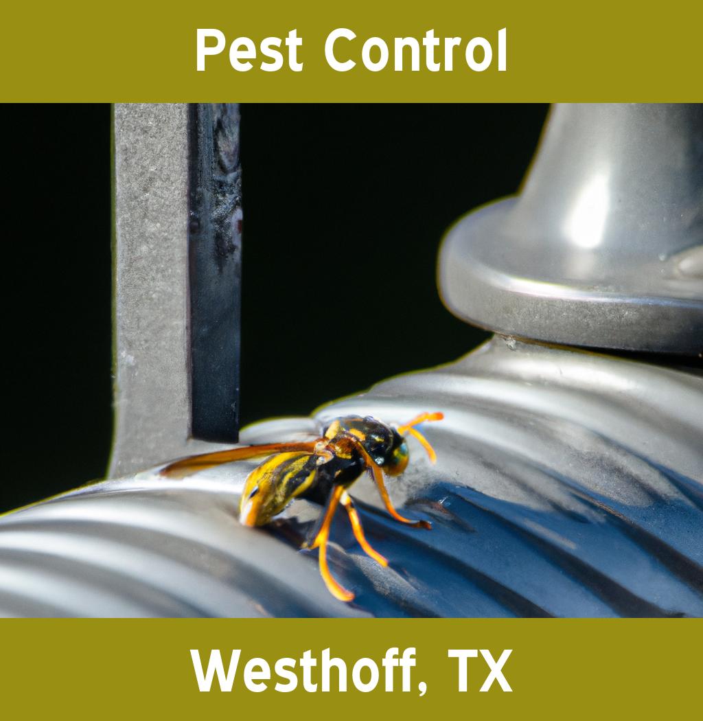 pest control in Westhoff Texas