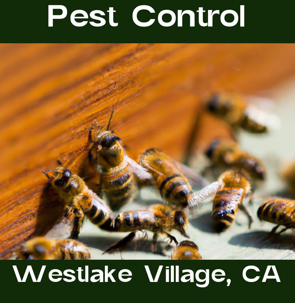 pest control in Westlake Village California