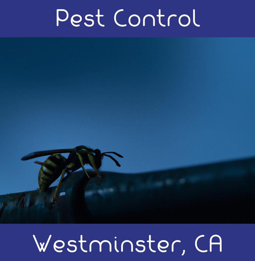 pest control in Westminster California