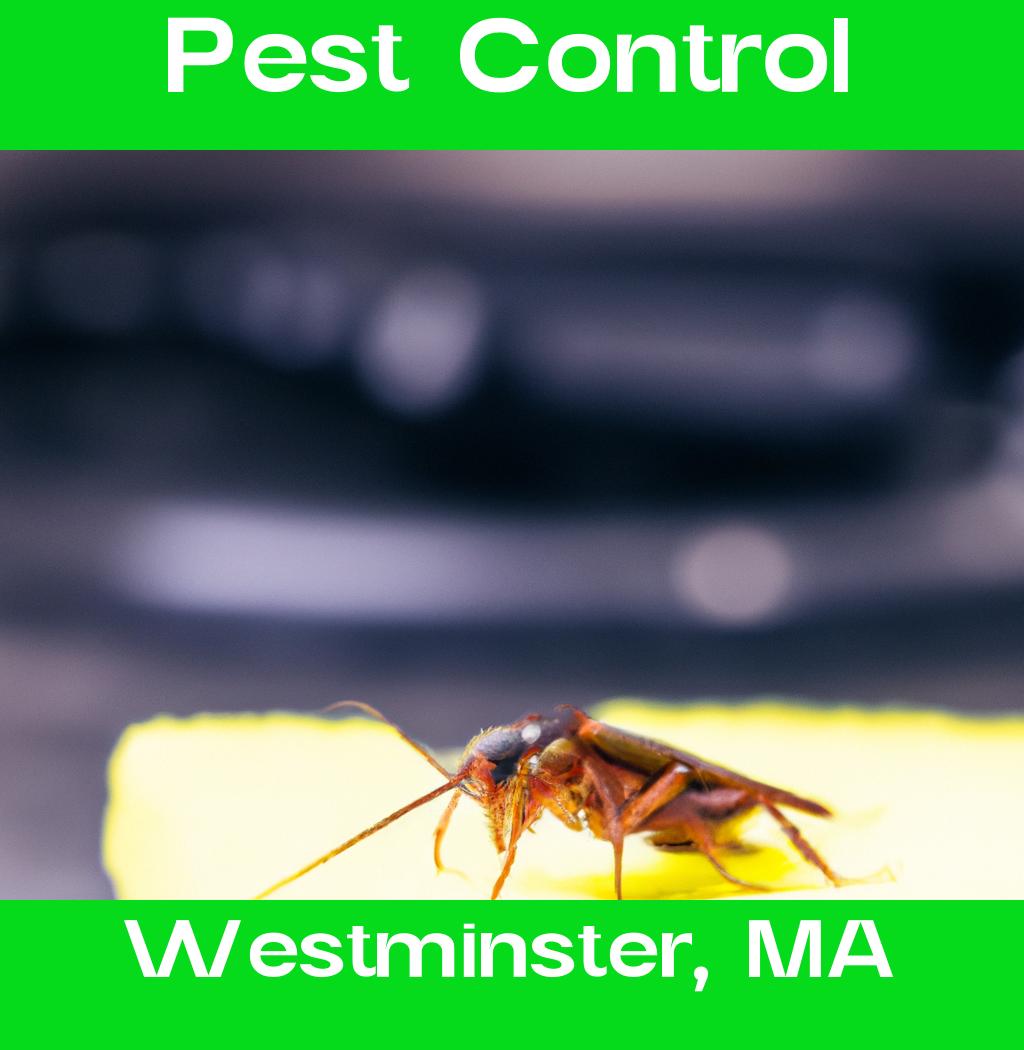 pest control in Westminster Massachusetts