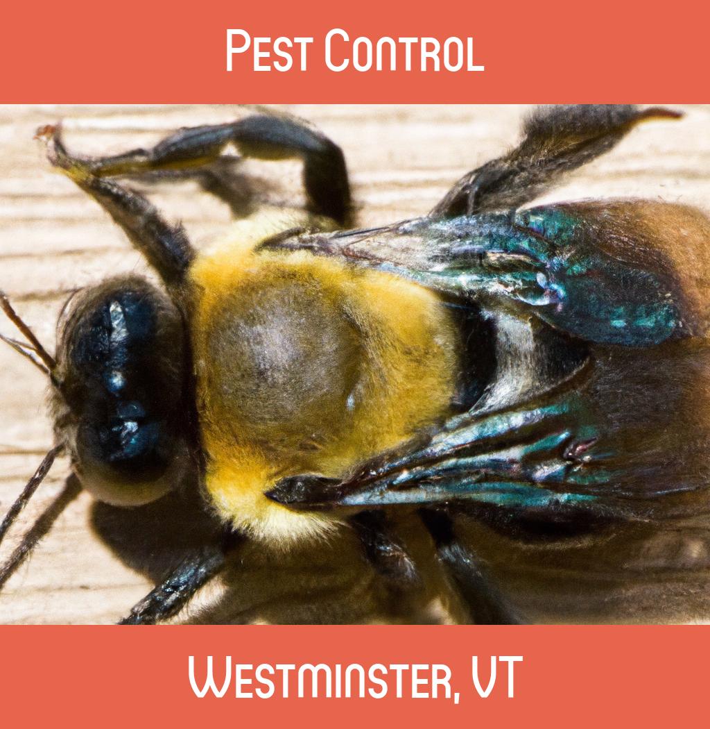 pest control in Westminster Vermont