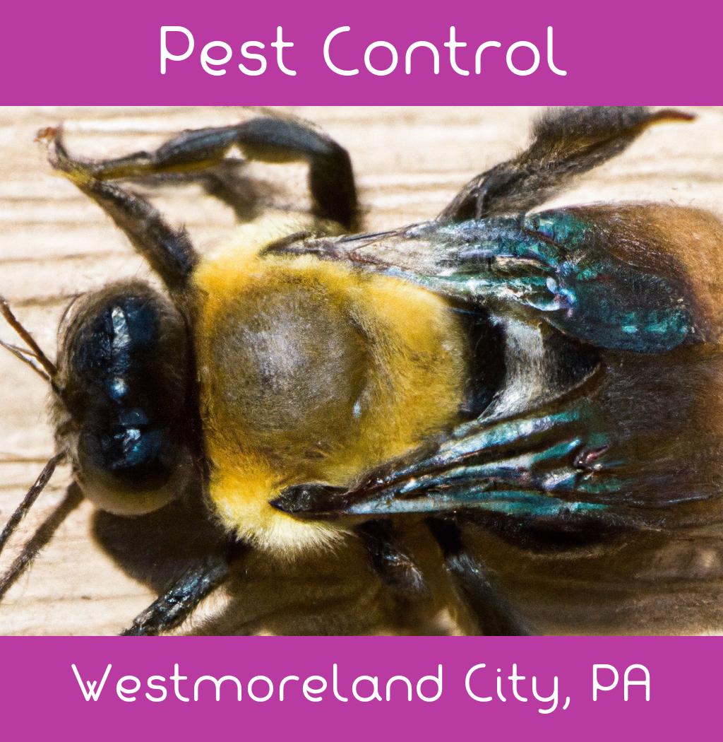pest control in Westmoreland City Pennsylvania