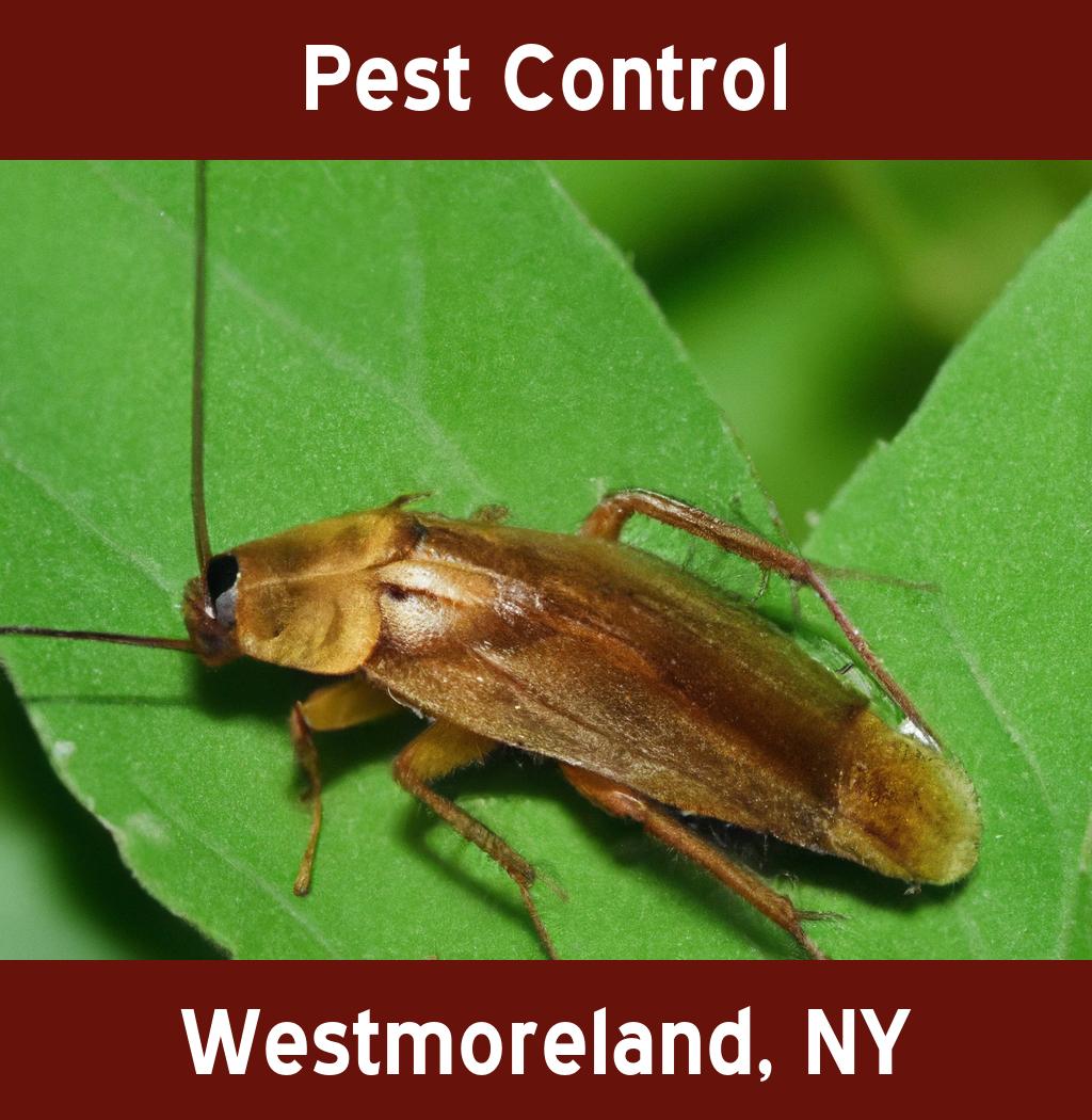 pest control in Westmoreland New York