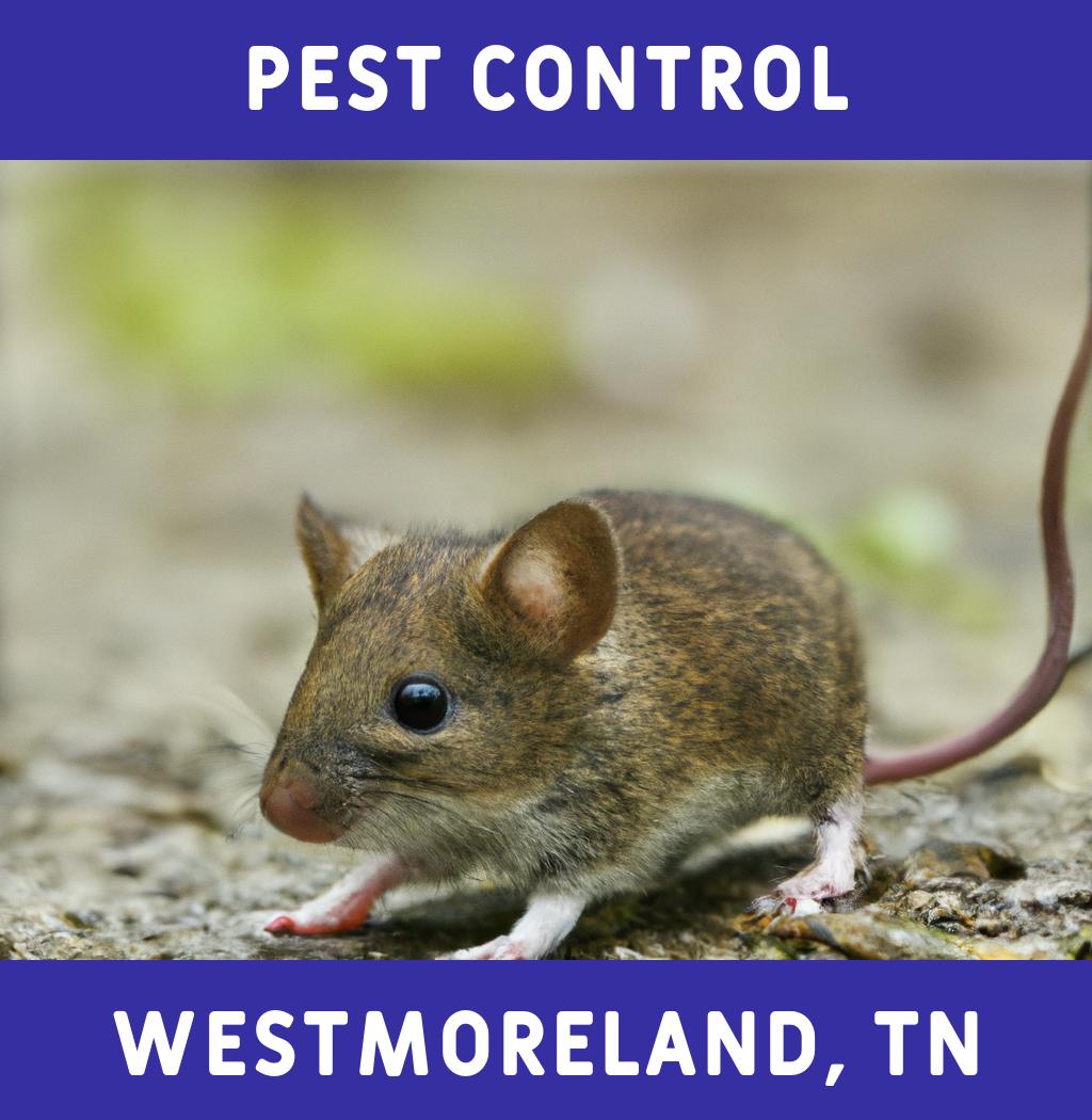 pest control in Westmoreland Tennessee