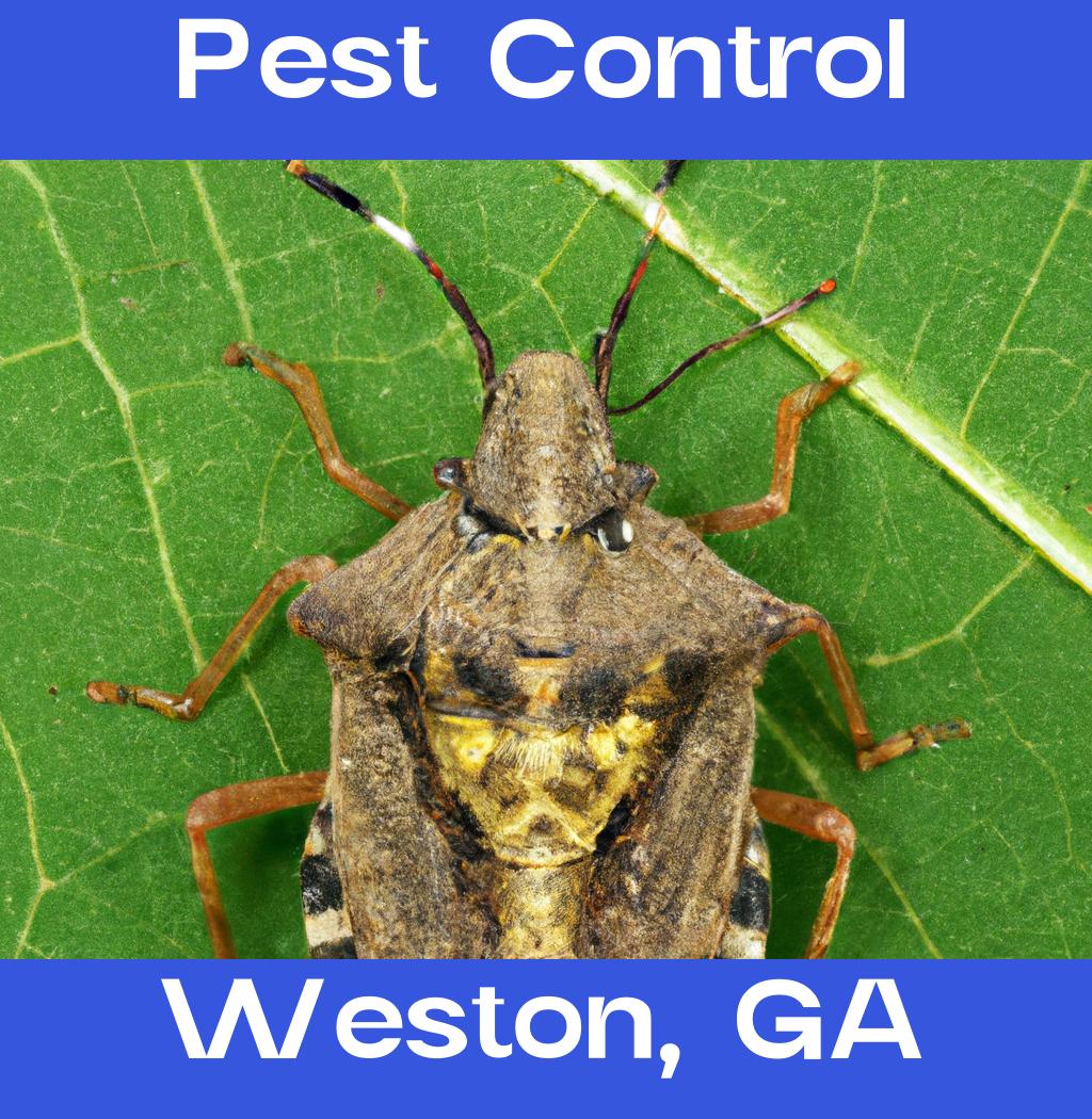 pest control in Weston Georgia