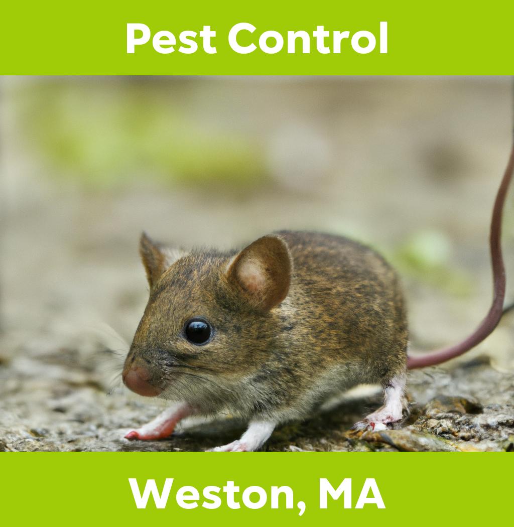 pest control in Weston Massachusetts