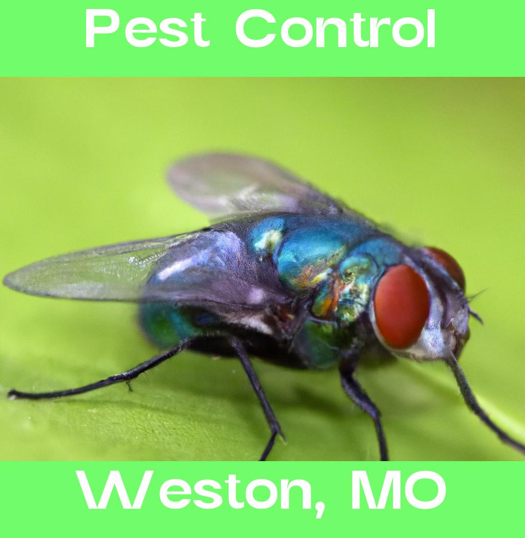 pest control in Weston Missouri