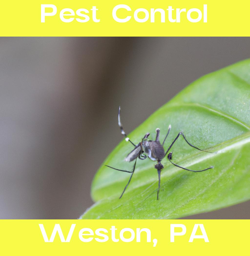pest control in Weston Pennsylvania