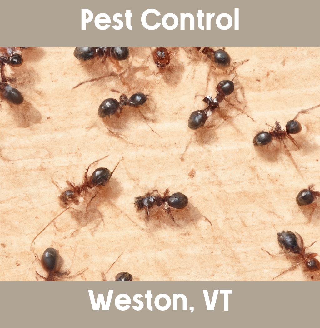 pest control in Weston Vermont