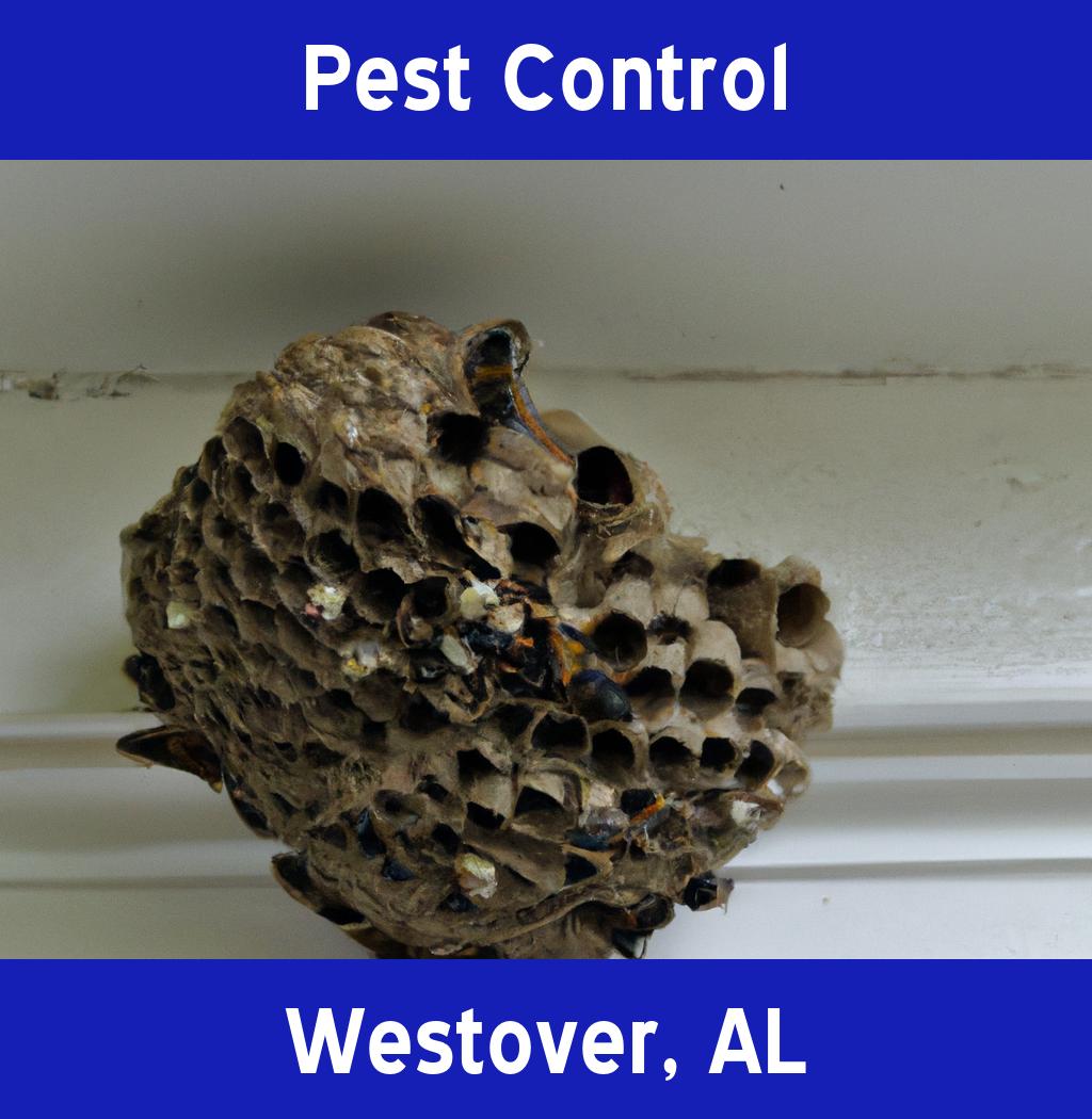 pest control in Westover Alabama