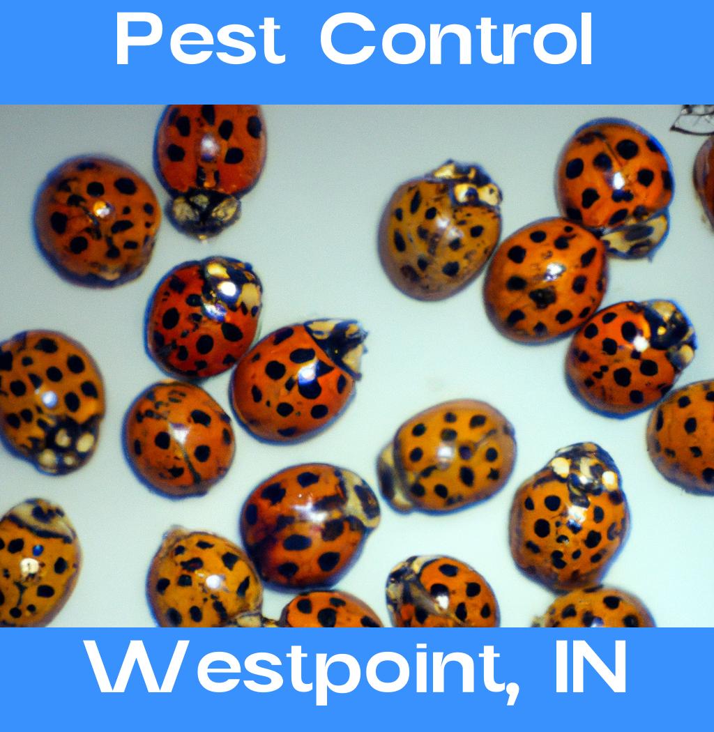 pest control in Westpoint Indiana