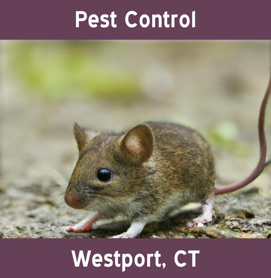 pest control in Westport Connecticut