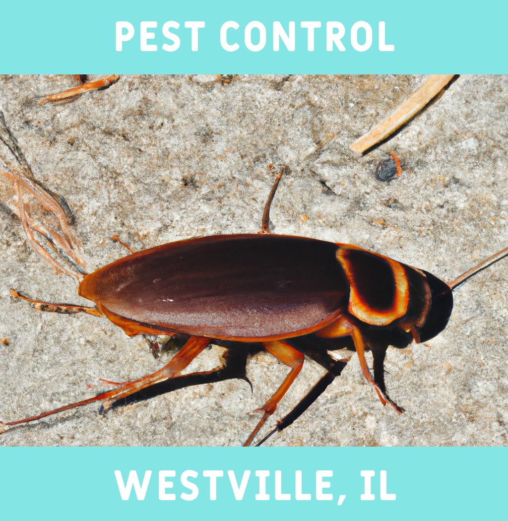 pest control in Westville Illinois