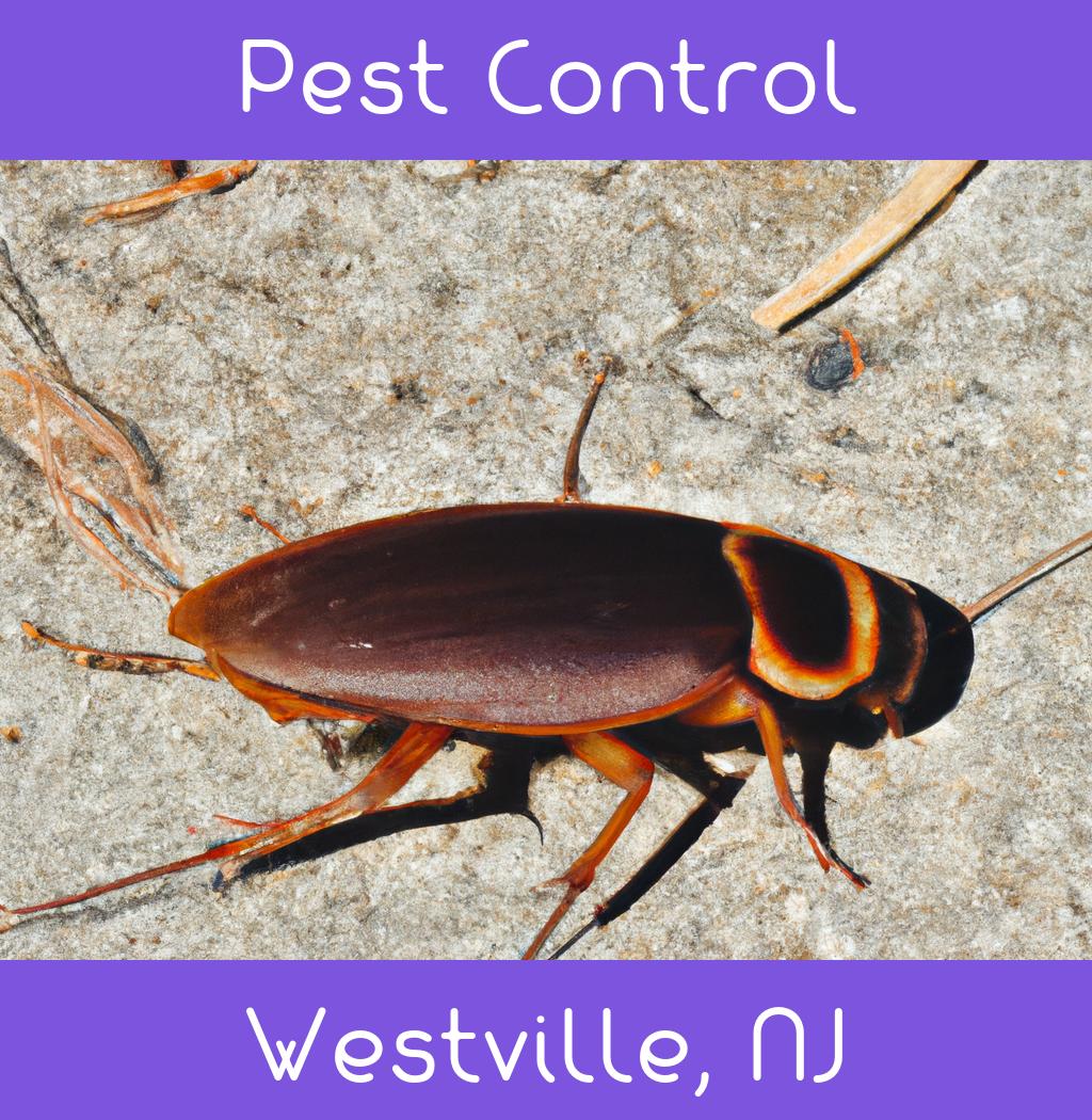 pest control in Westville New Jersey