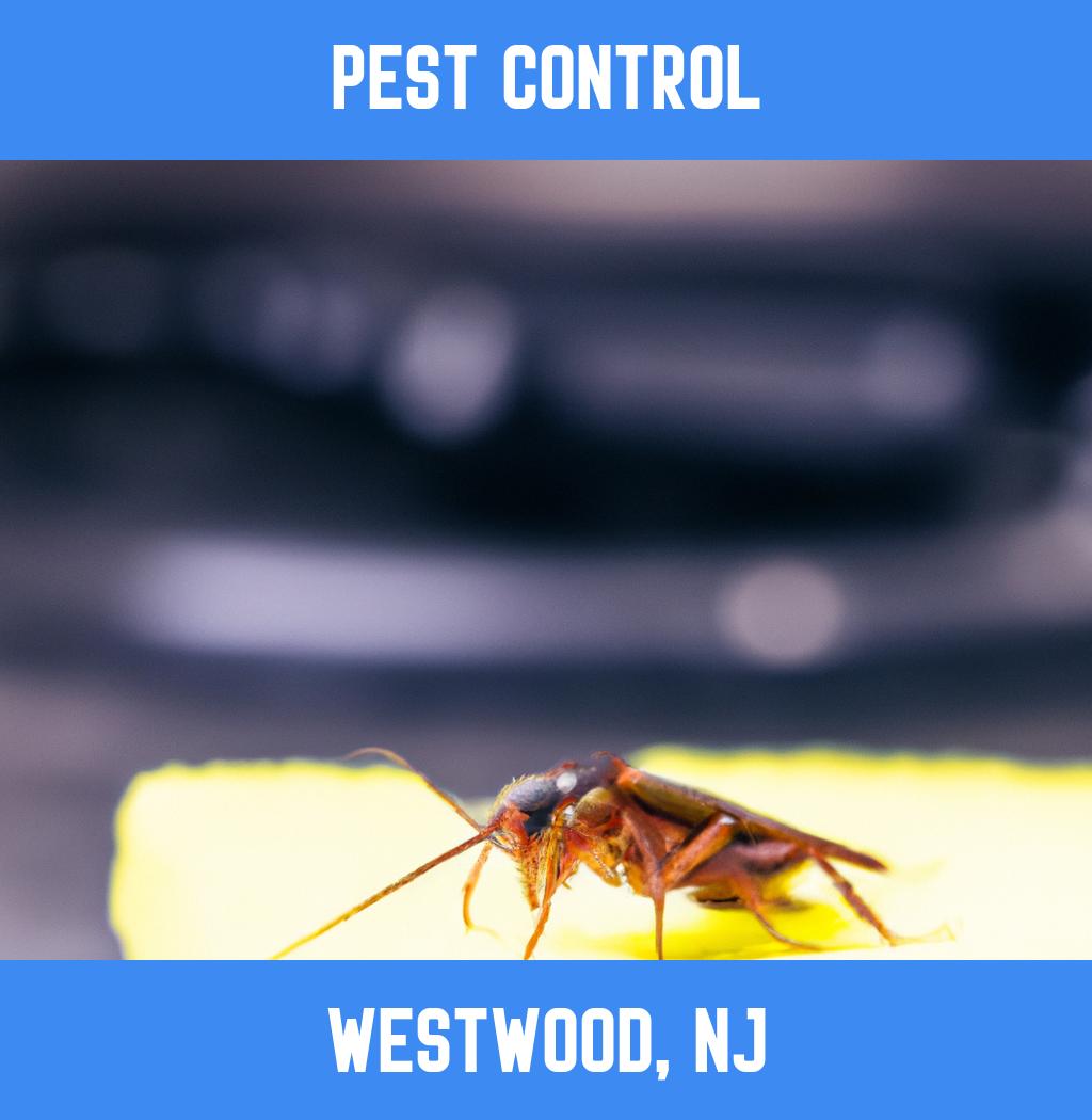 pest control in Westwood New Jersey