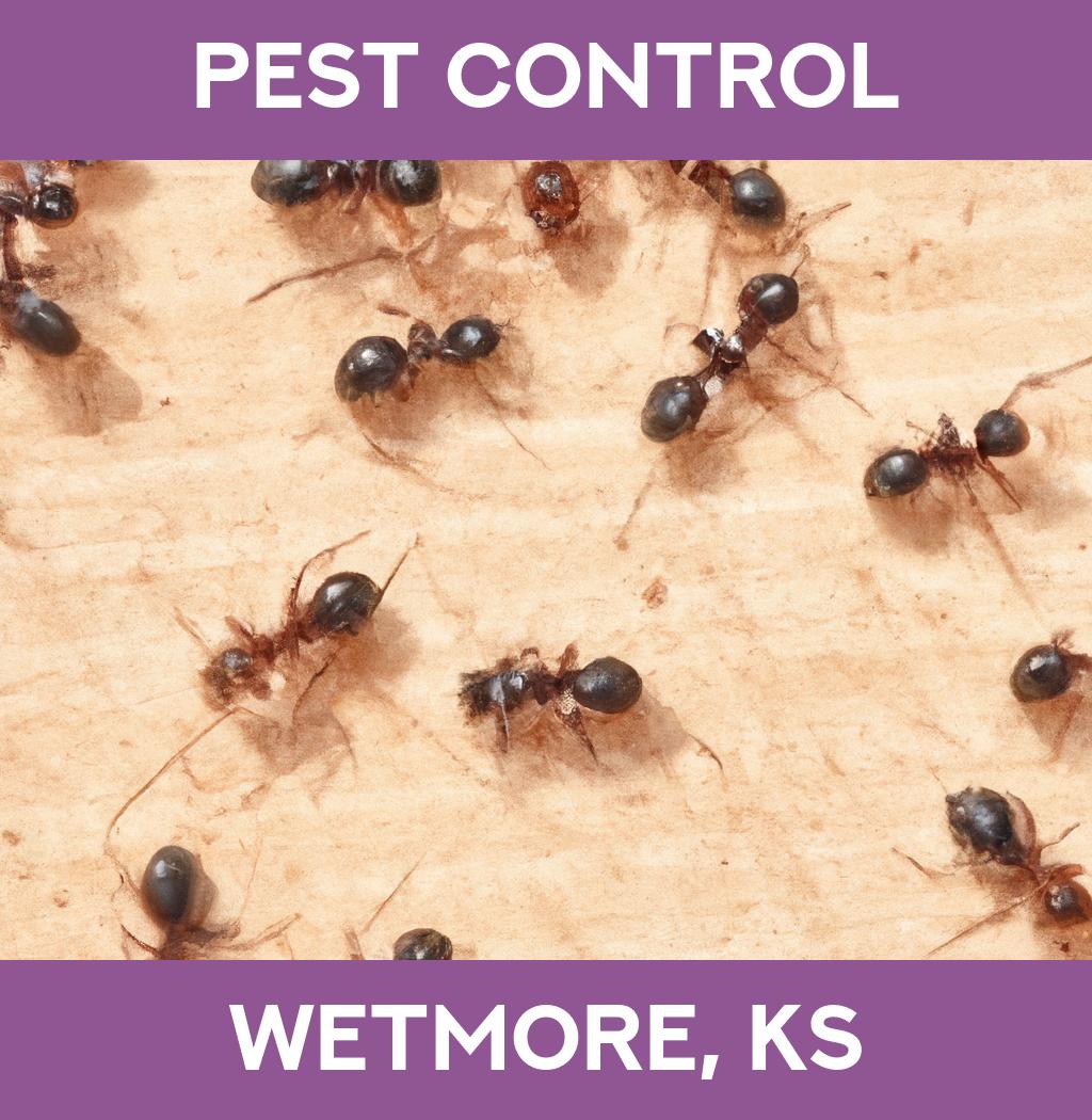 pest control in Wetmore Kansas