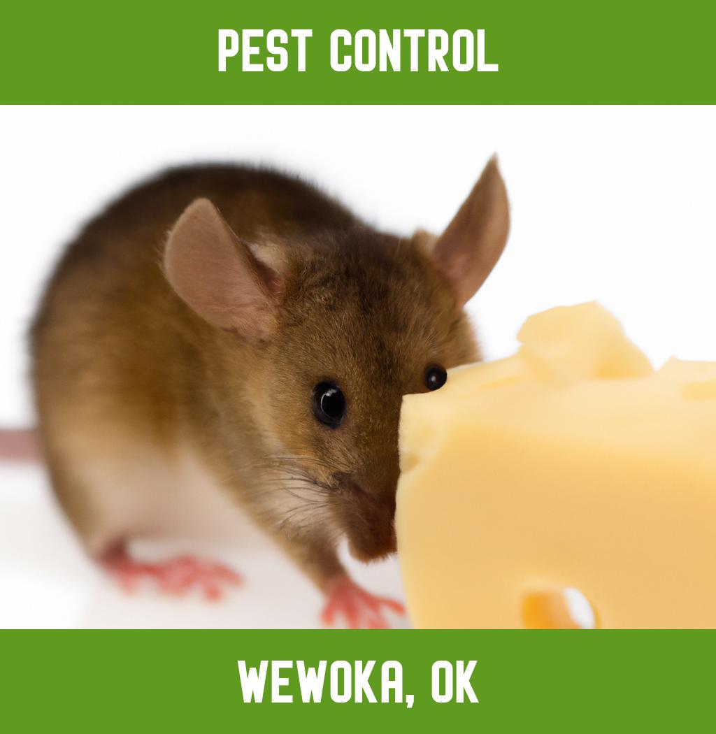 pest control in Wewoka Oklahoma