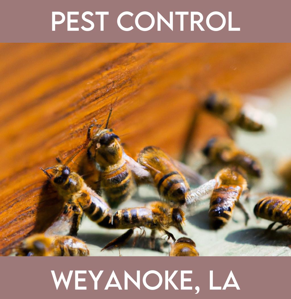 pest control in Weyanoke Louisiana