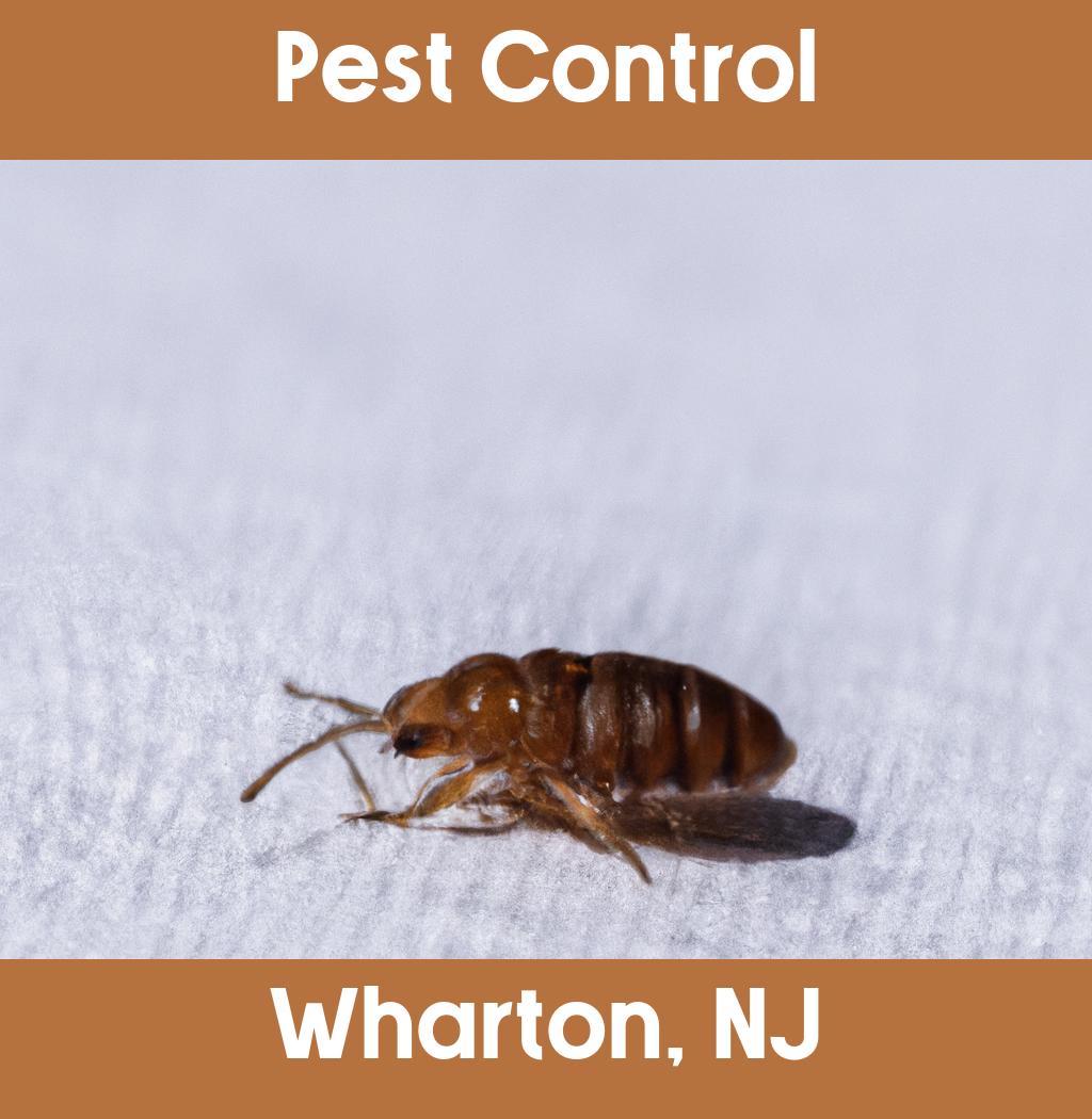 pest control in Wharton New Jersey