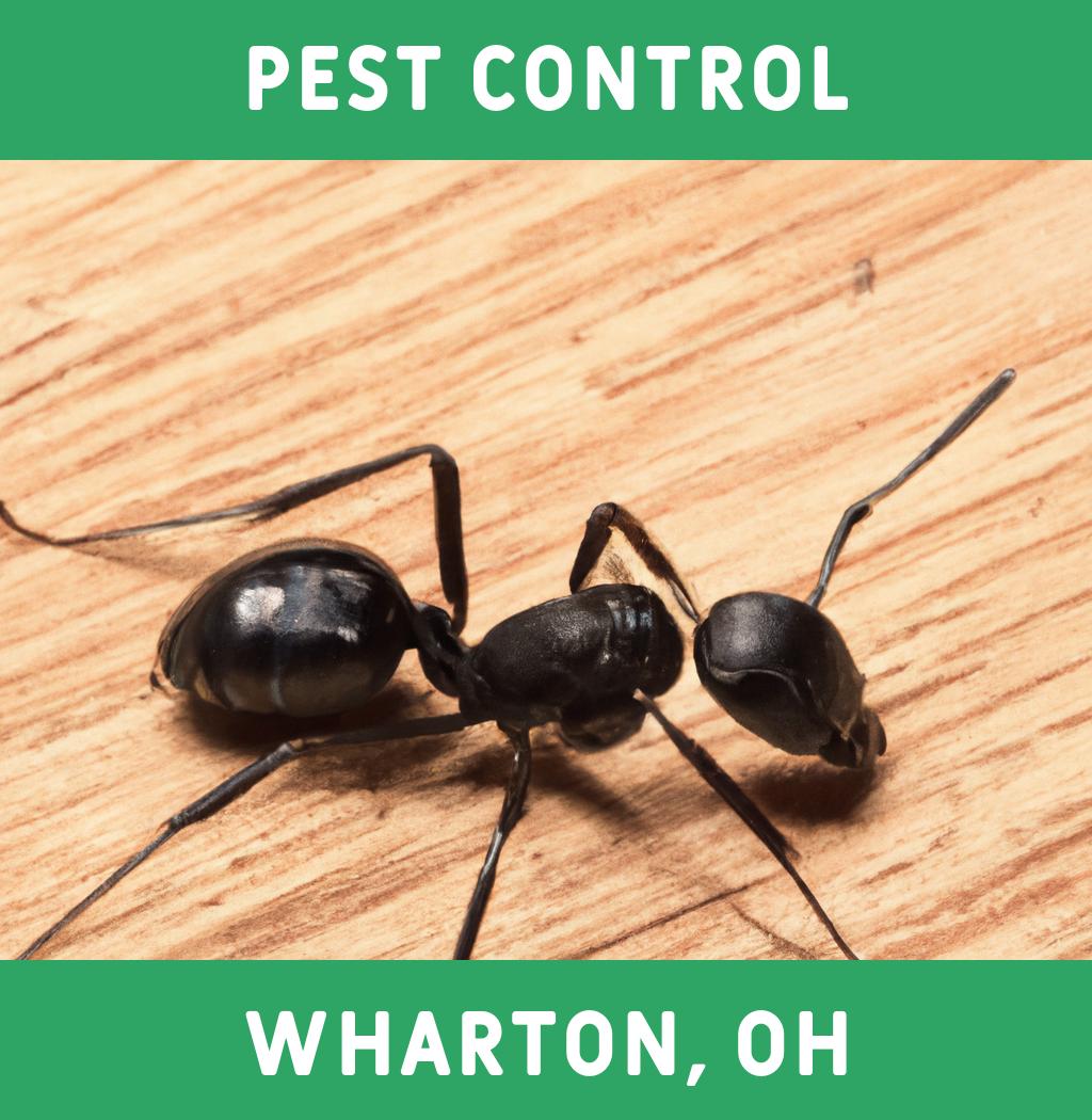 pest control in Wharton Ohio