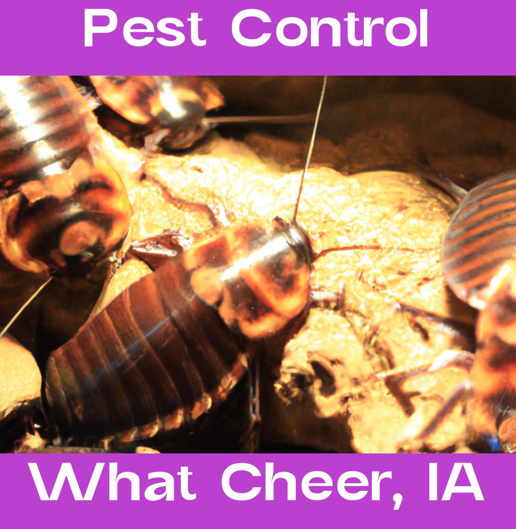pest control in What Cheer Iowa