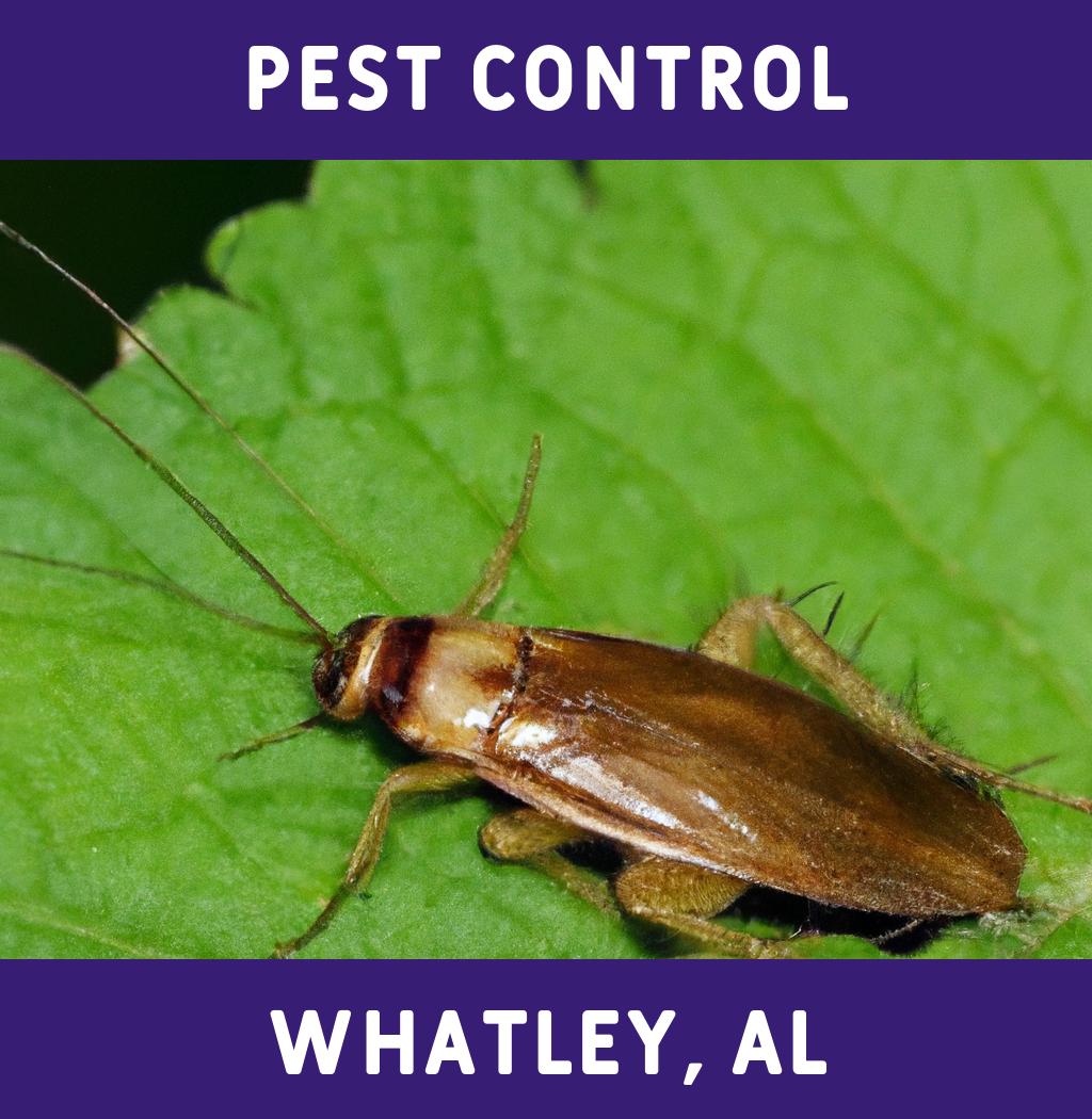 pest control in Whatley Alabama