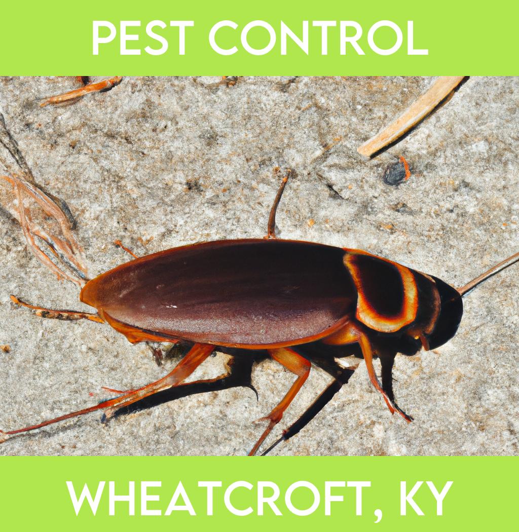 pest control in Wheatcroft Kentucky