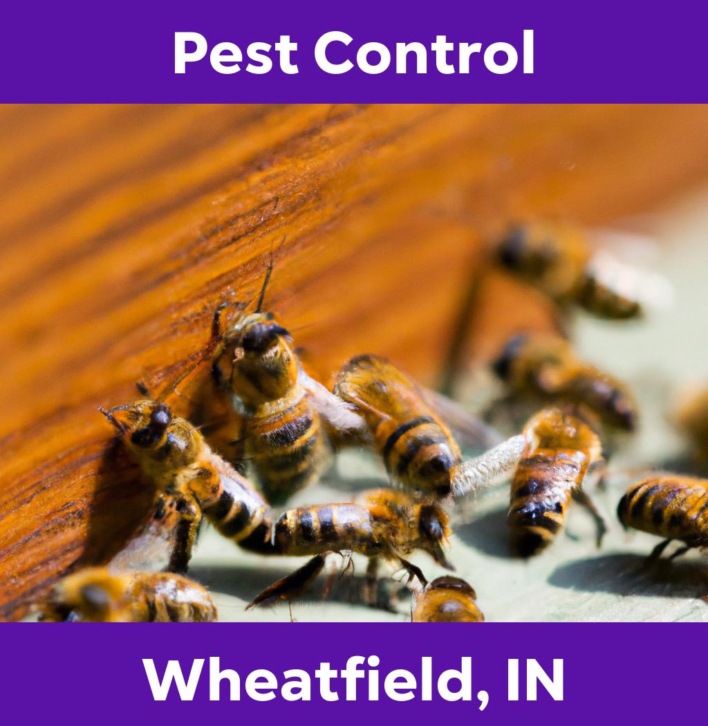 pest control in Wheatfield Indiana