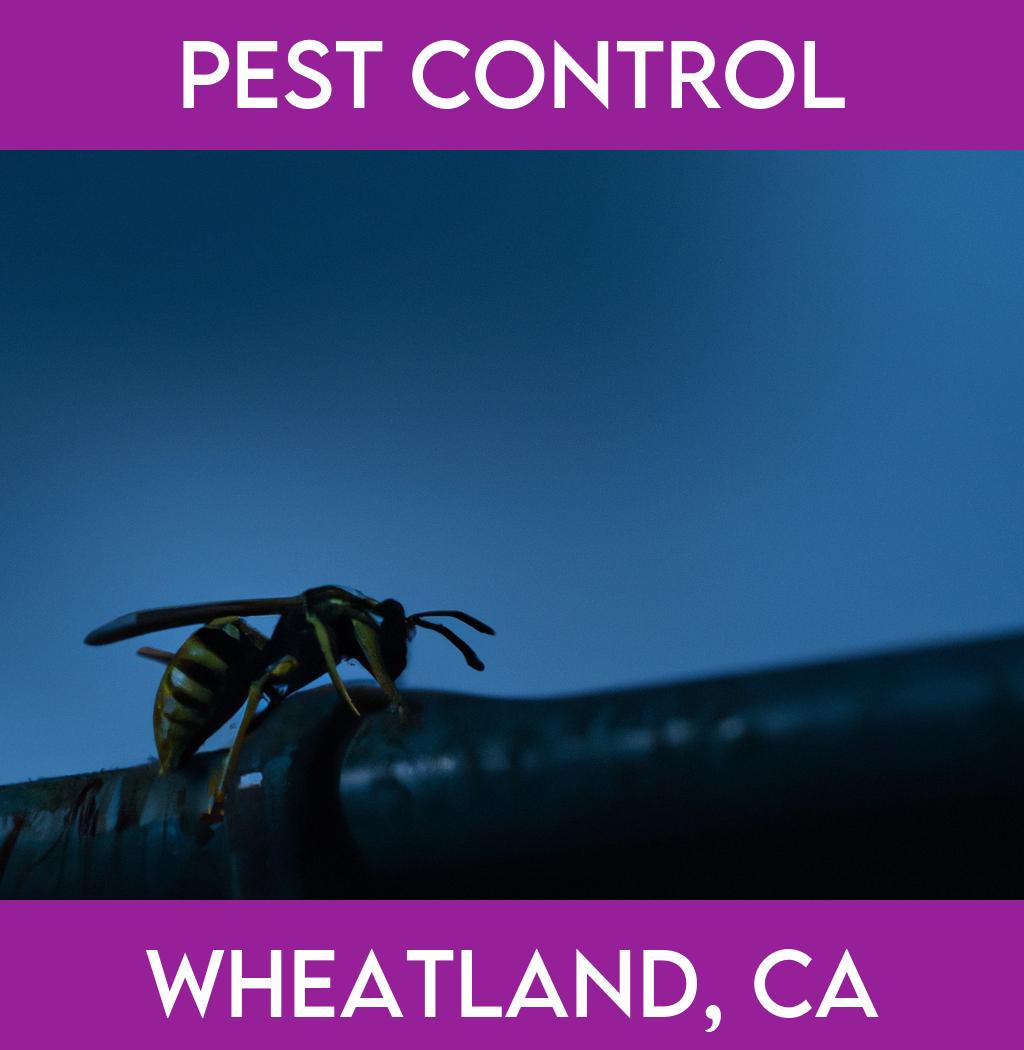 pest control in Wheatland California