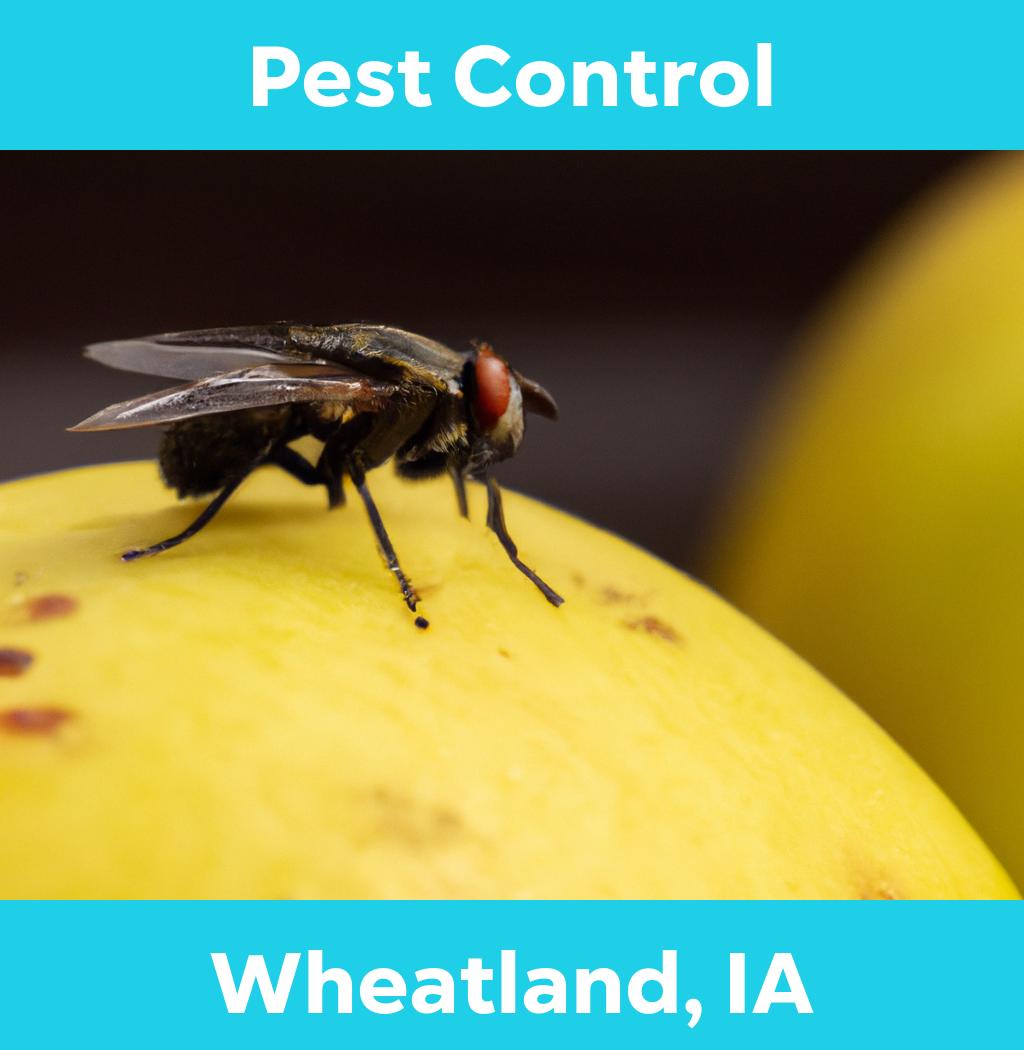 pest control in Wheatland Iowa