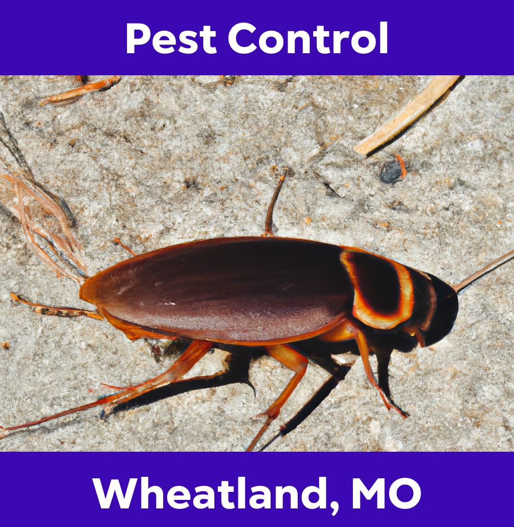 pest control in Wheatland Missouri