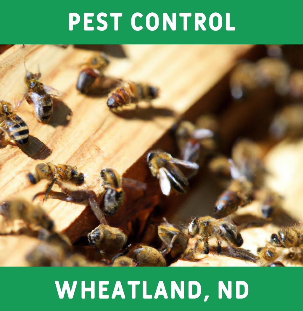 pest control in Wheatland North Dakota