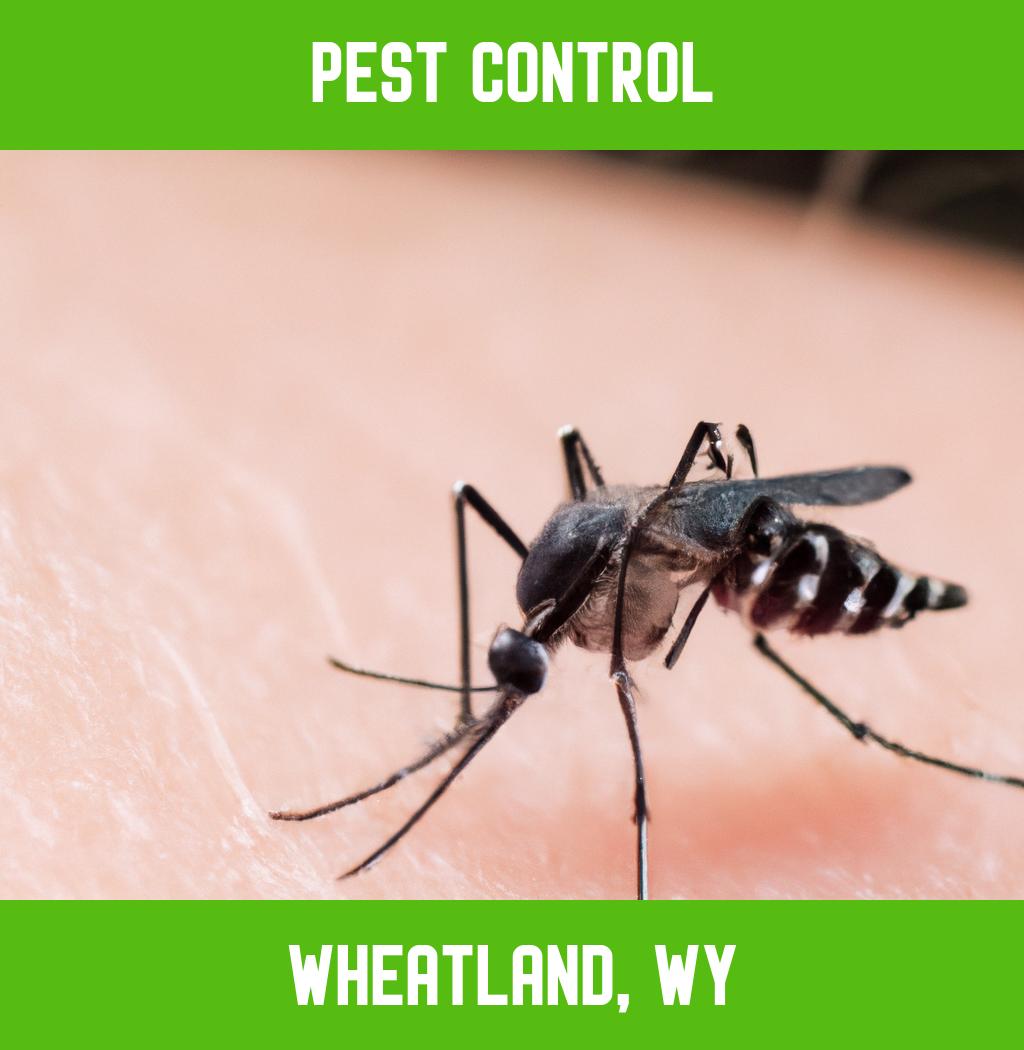 pest control in Wheatland Wyoming