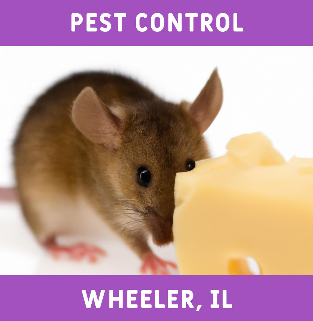 pest control in Wheeler Illinois