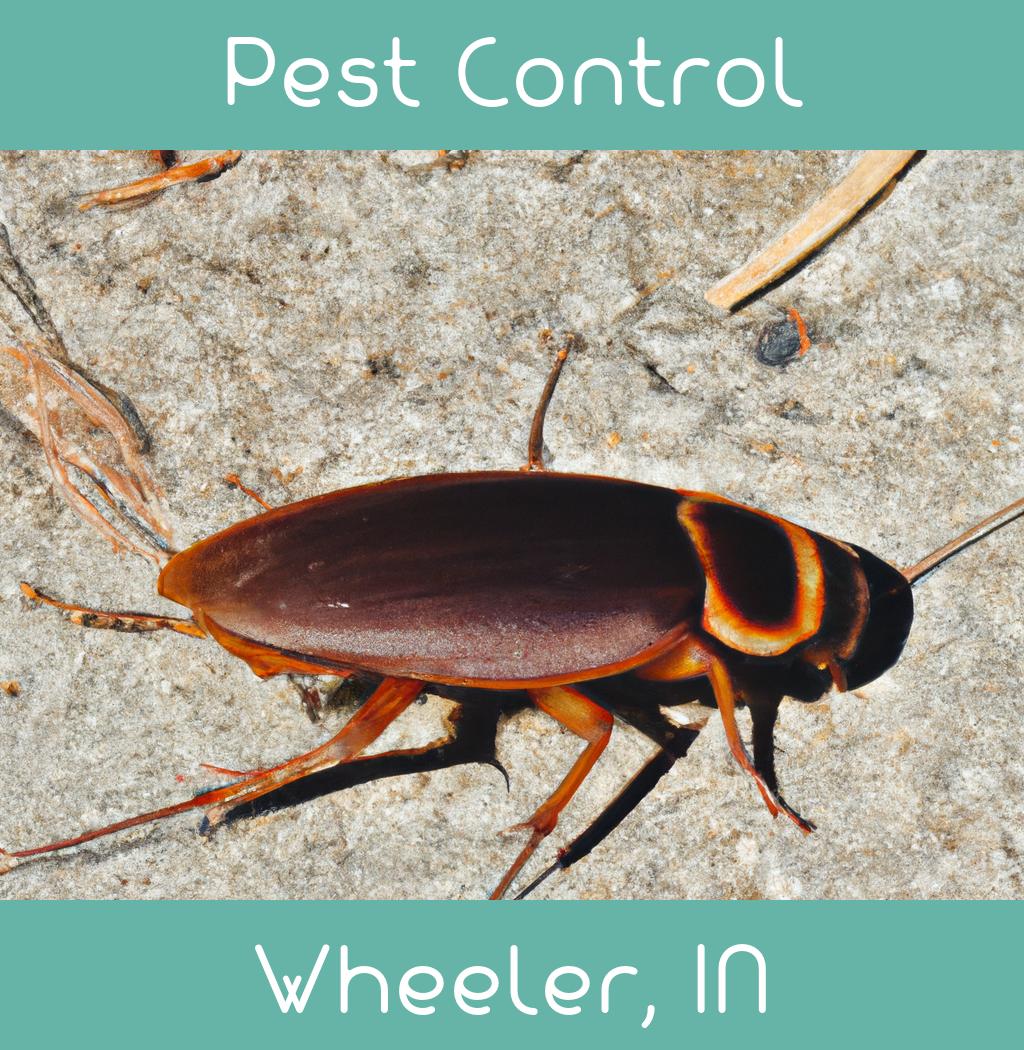 pest control in Wheeler Indiana