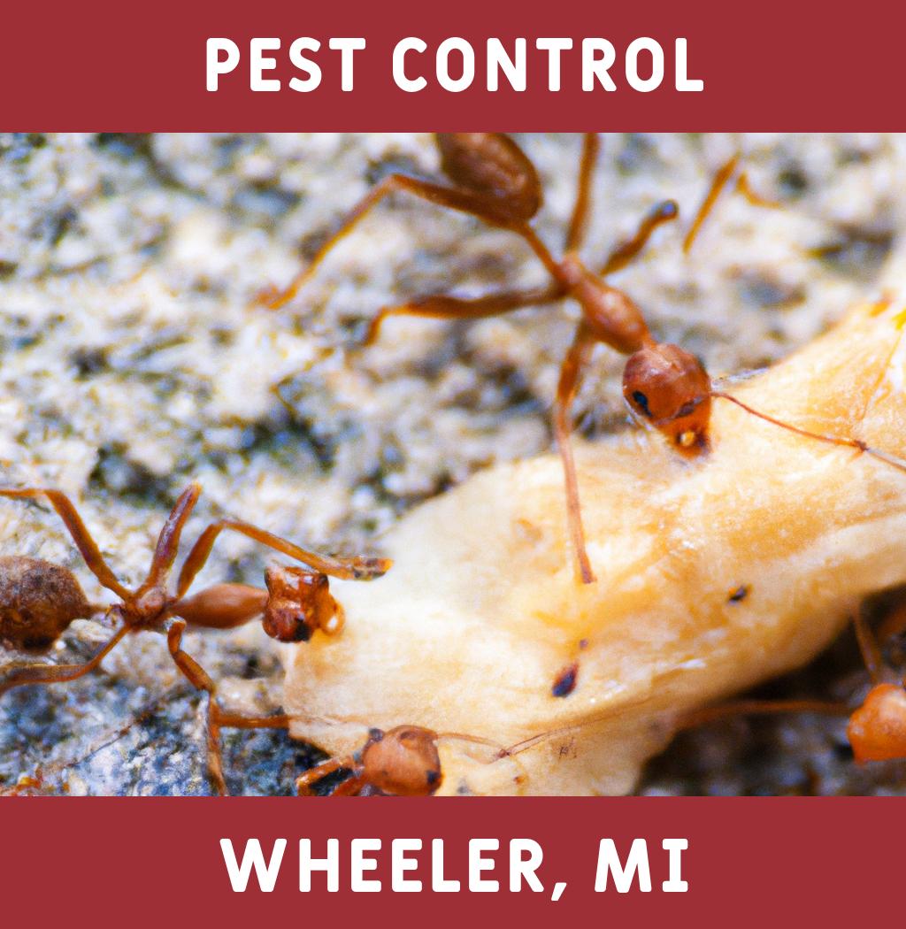 pest control in Wheeler Michigan