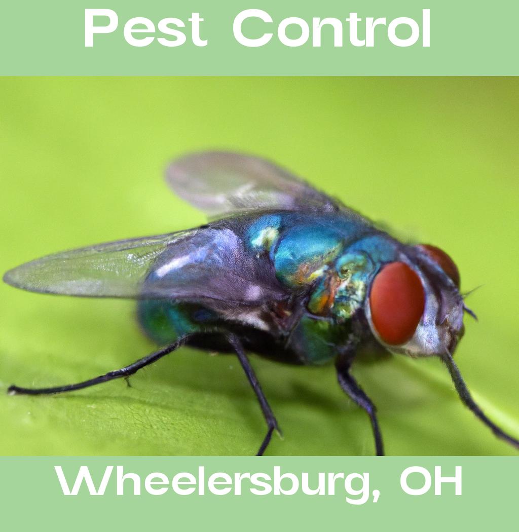 pest control in Wheelersburg Ohio