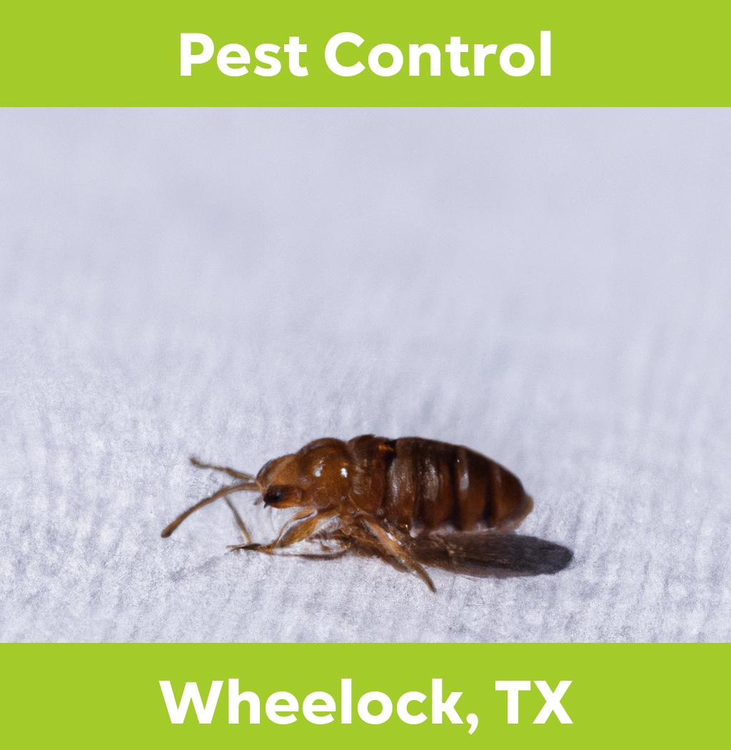 pest control in Wheelock Texas