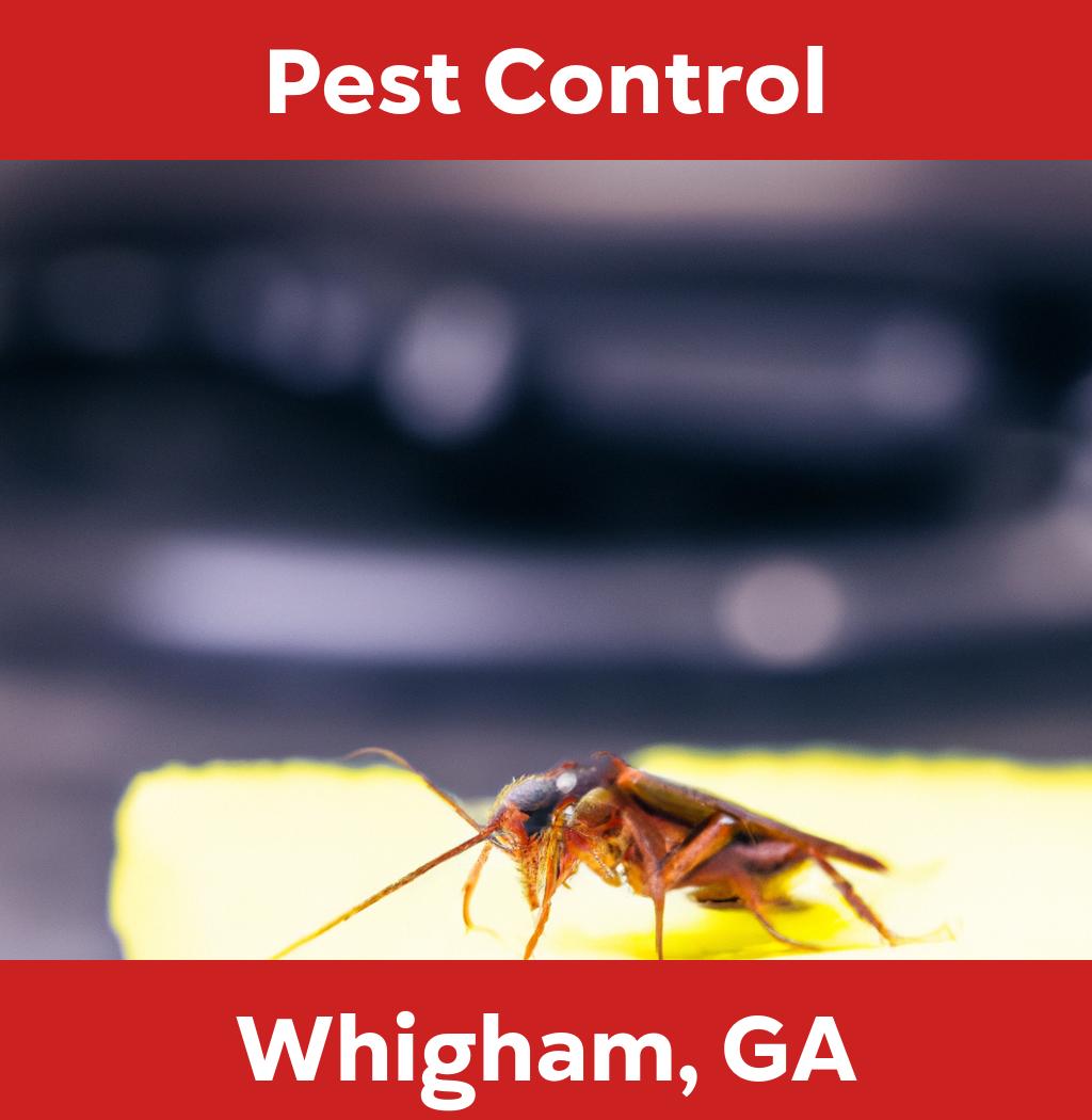 pest control in Whigham Georgia