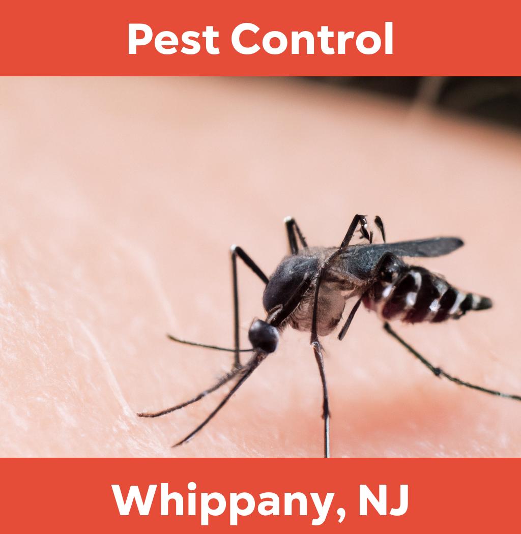 pest control in Whippany New Jersey