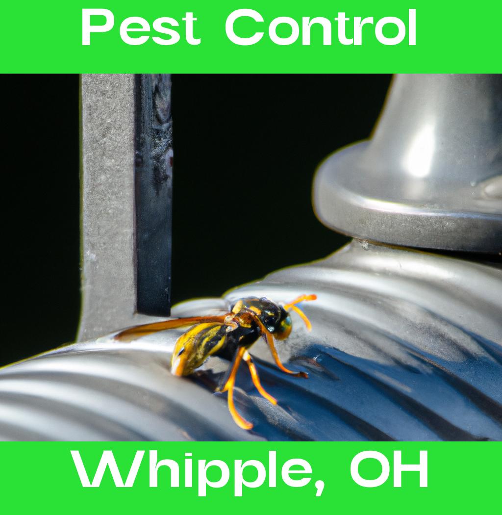 pest control in Whipple Ohio