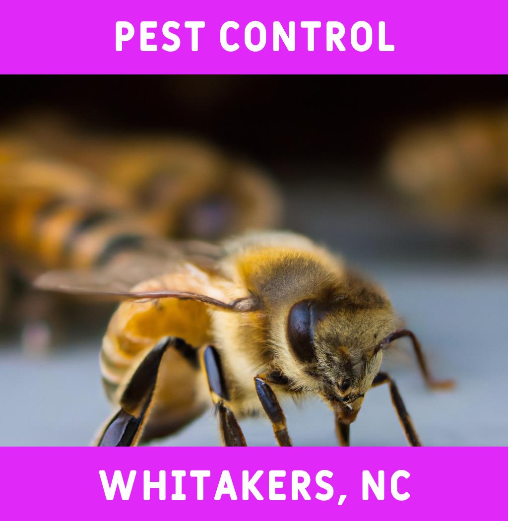 pest control in Whitakers North Carolina