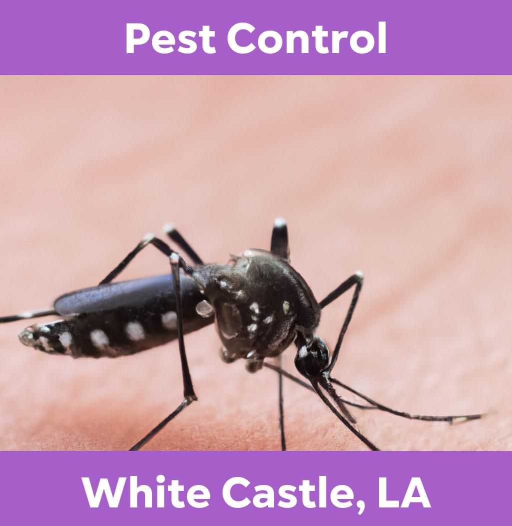 pest control in White Castle Louisiana