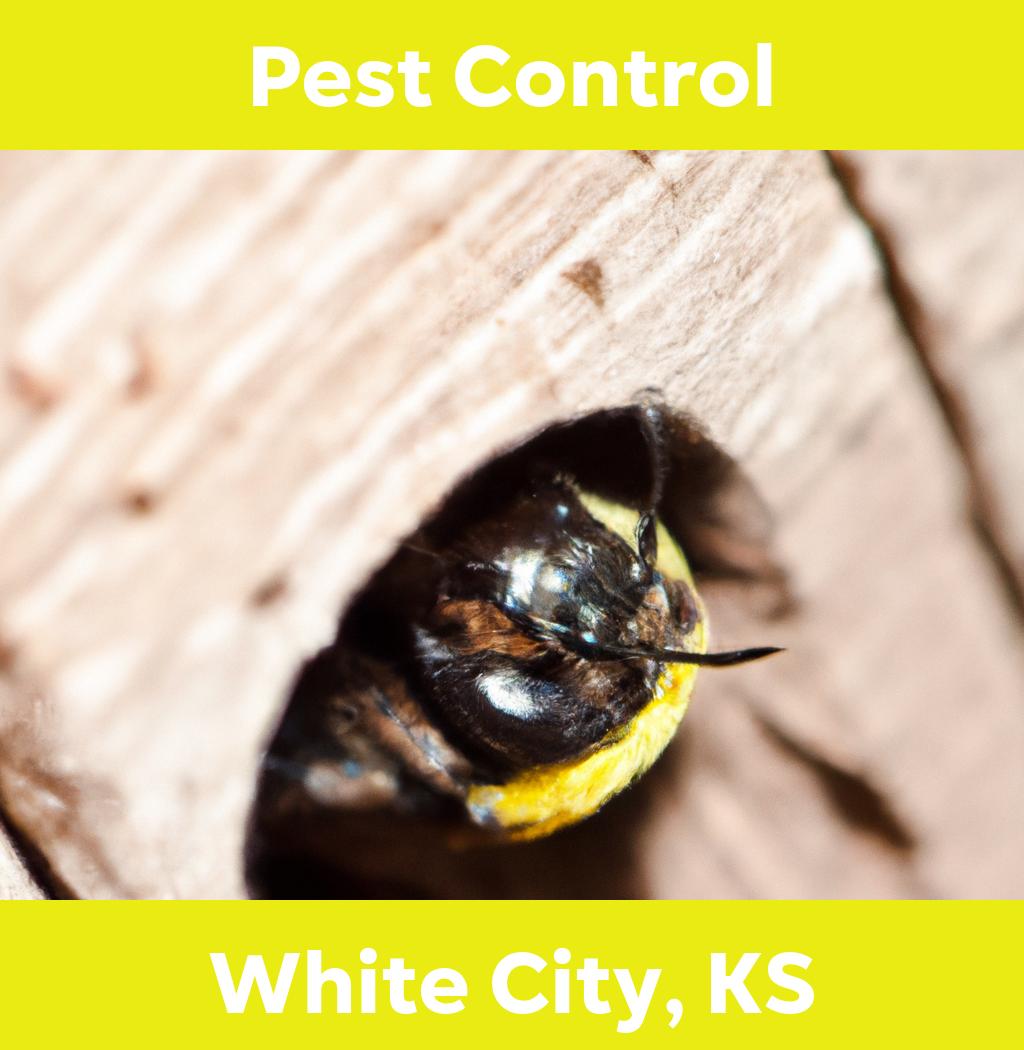 pest control in White City Kansas