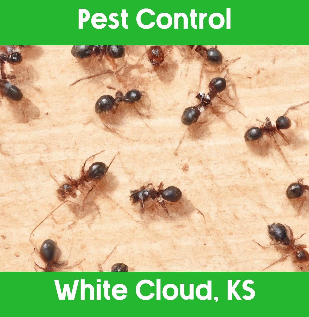 pest control in White Cloud Kansas