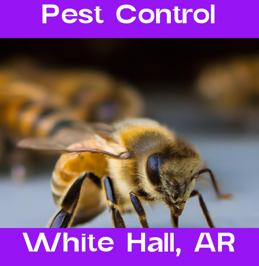 pest control in White Hall Arkansas
