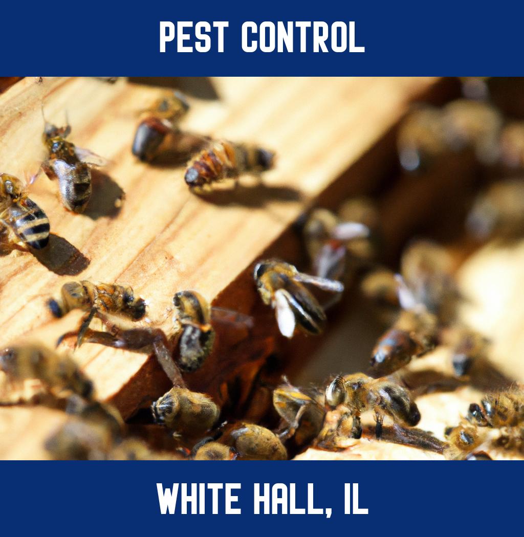 pest control in White Hall Illinois