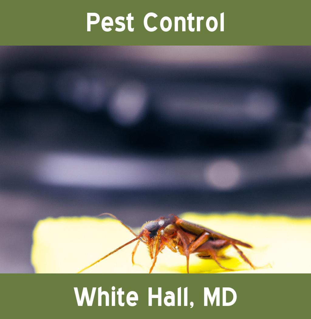 pest control in White Hall Maryland