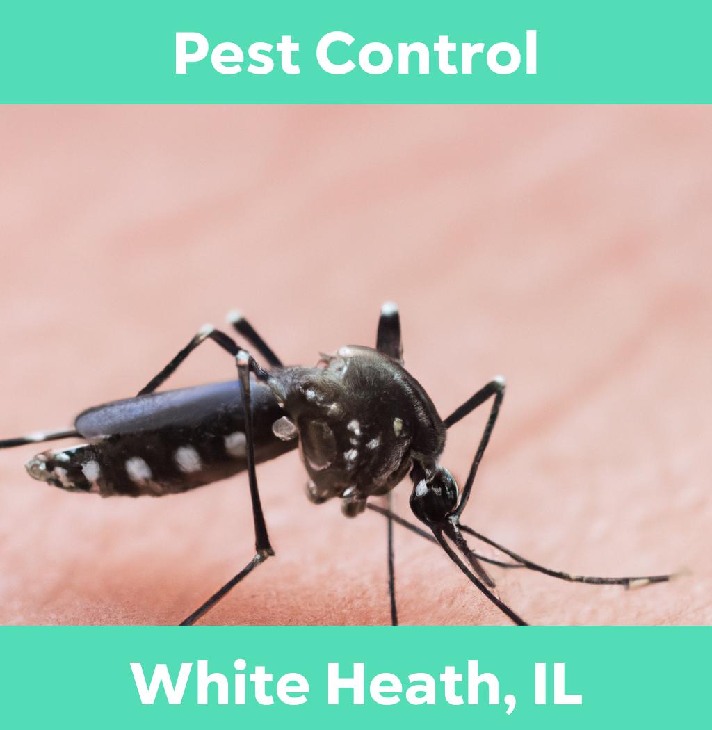 pest control in White Heath Illinois