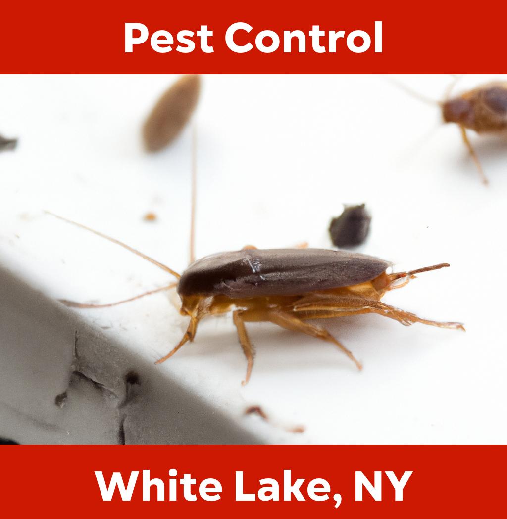 pest control in White Lake New York